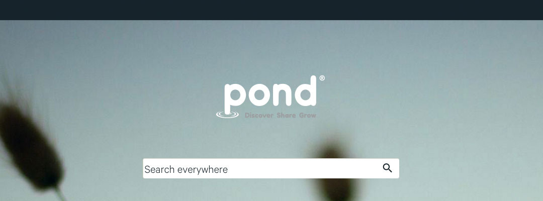 Introducing Pond Notifications!